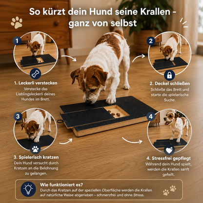 SoftPaw – Die sanfte und stressfreie Lösung für Hundekrallen