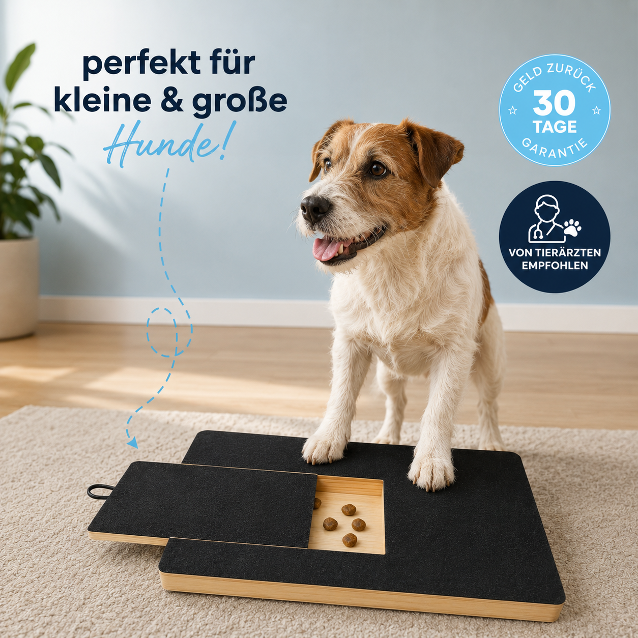 SoftPaw – Die sanfte und stressfreie Lösung für Hundekrallen