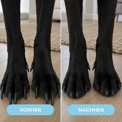 SoftPaw – Die sanfte und stressfreie Lösung für Hundekrallen